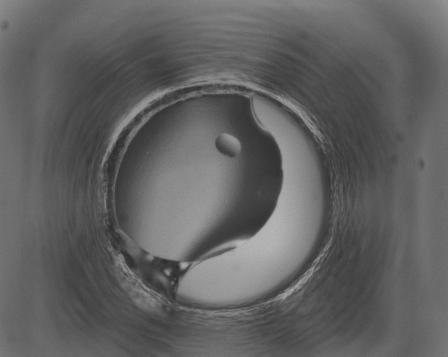 X0000084521118200703091555