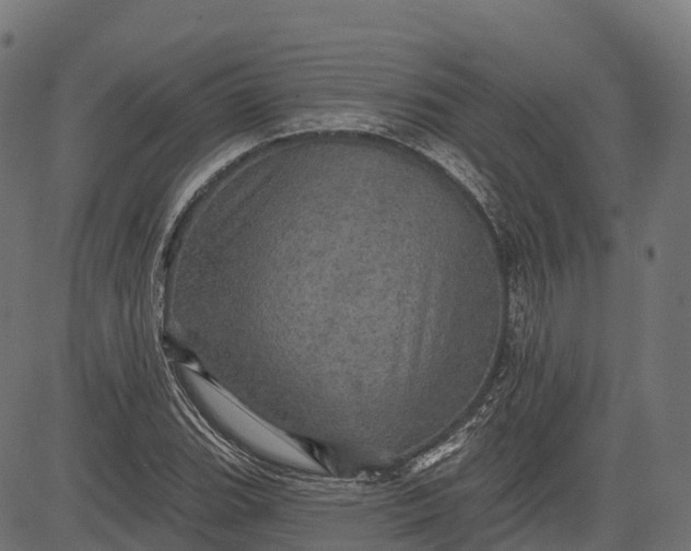 X0000084521119200703091555