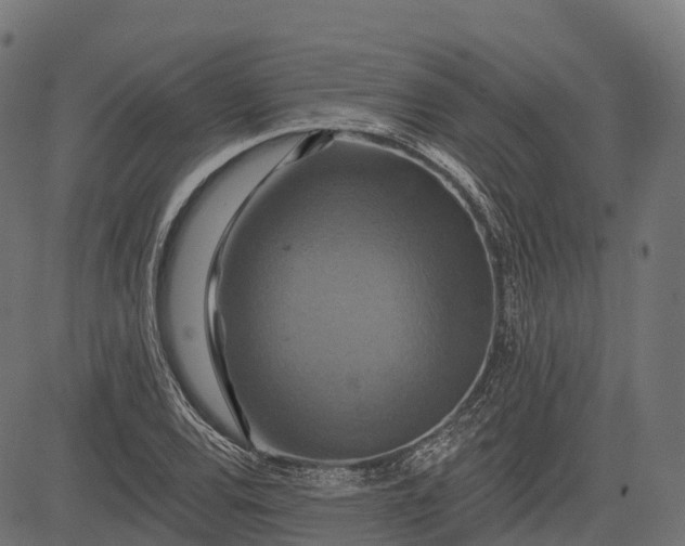 X0000084521120200703091555