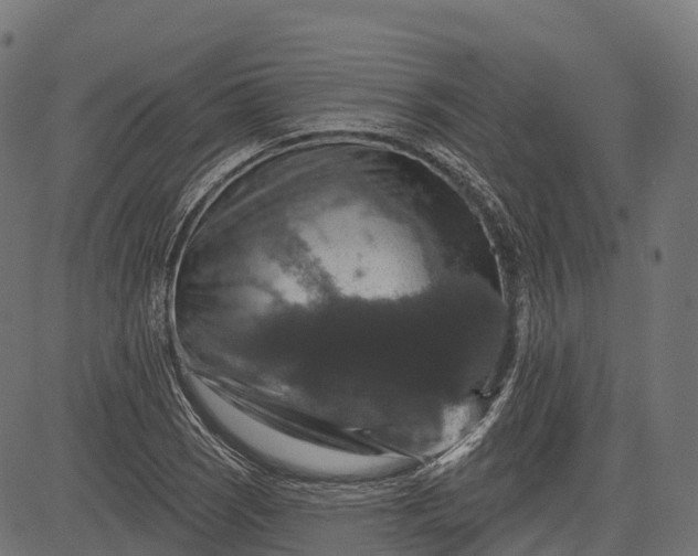 X0000084521121200703091555