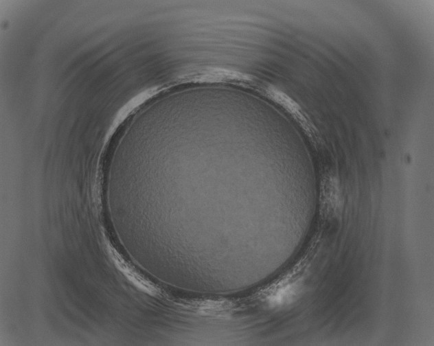 X0000084521122200703091555