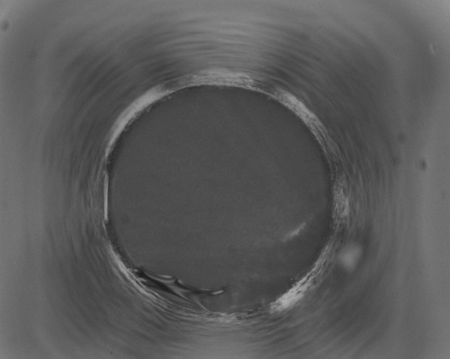 X0000084521123200703091555