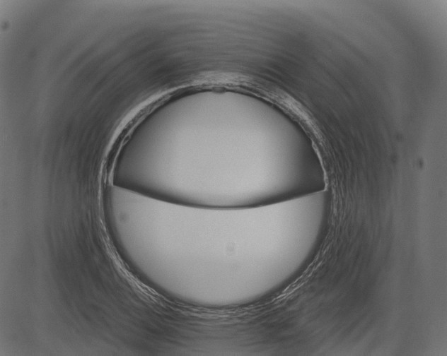 X0000084521124200703091555