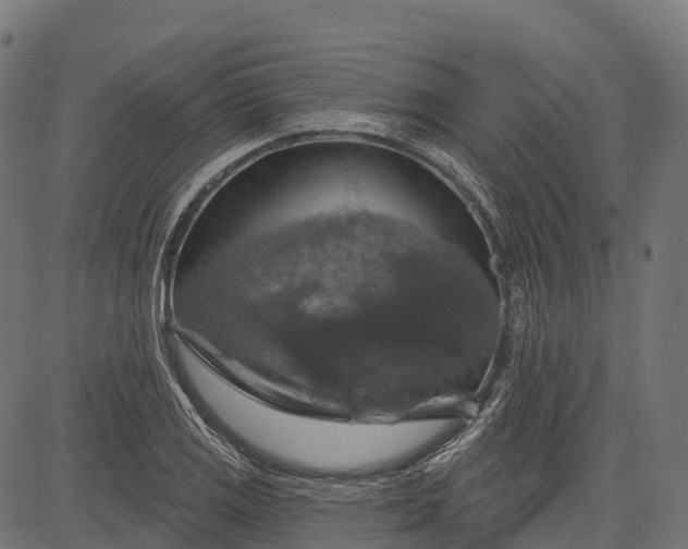 X0000084521125200703091555