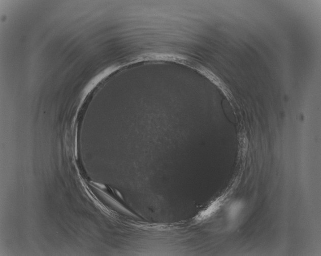 X0000084521127200703091555