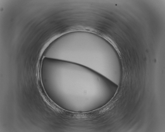 X0000084521128200703091555