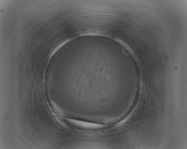 X0000084521129200703091555