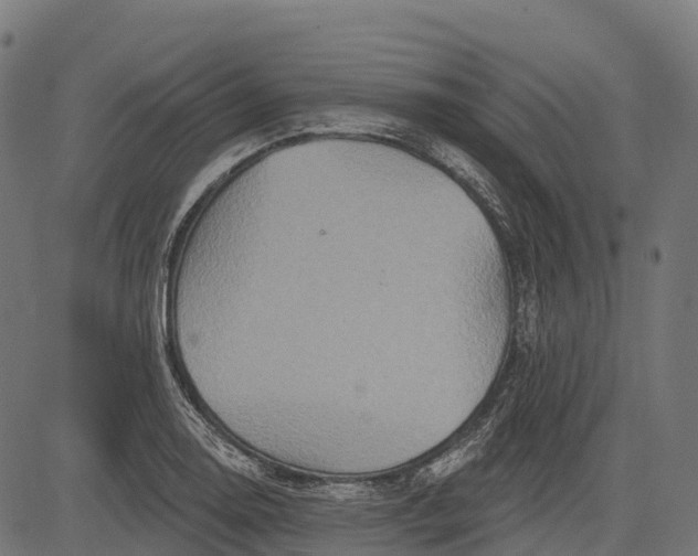 X0000084521130200703091555