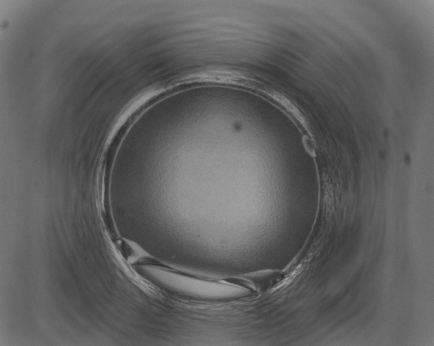 X0000084521131200703091555