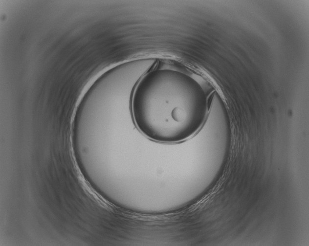 X0000084521132200703091555