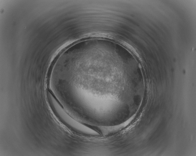 X0000084521133200703091555