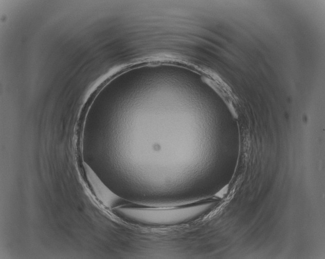 X0000084521134200703091555