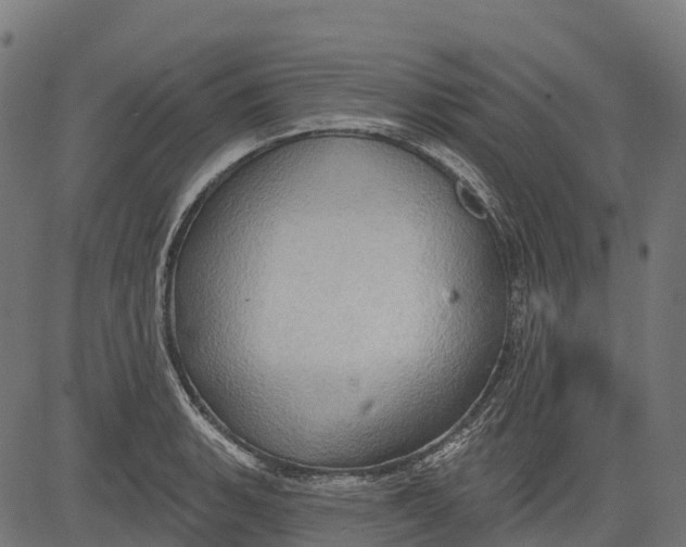 X0000084521135200703091555