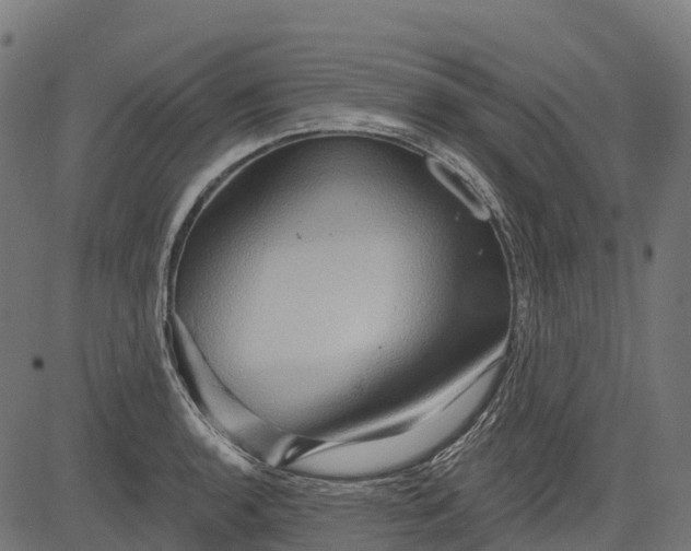 X0000084521136200703091555