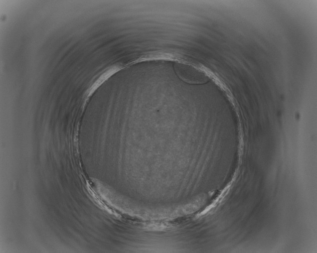 X0000084521137200703091555