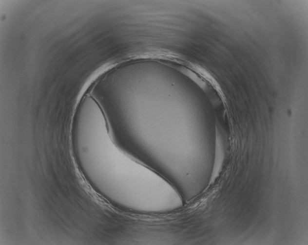 X0000084521138200703091555