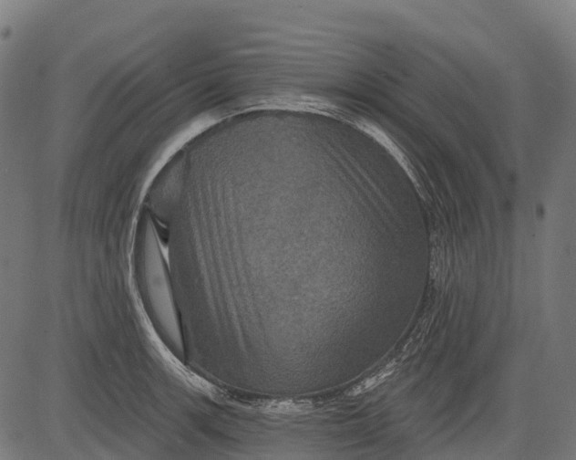 X0000084521139200703091555