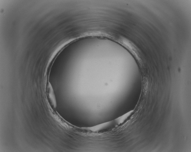 X0000084521140200703091555