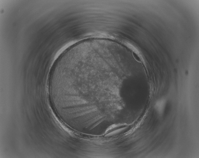 X0000084521141200703091555