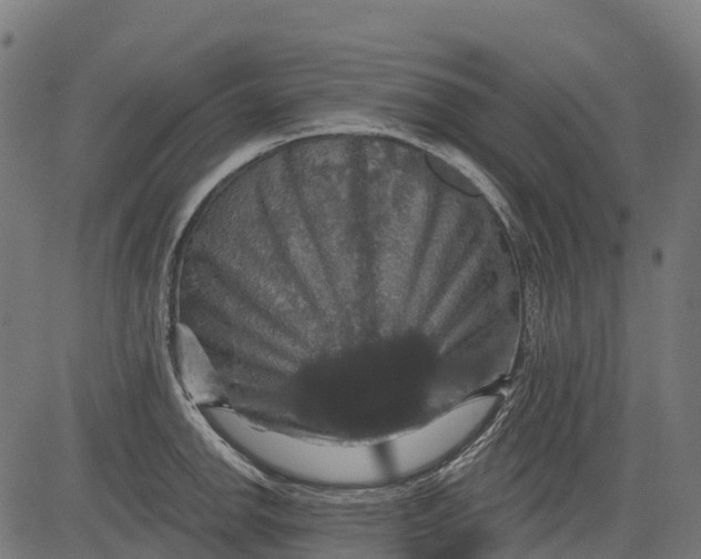 X0000084521142200703091555