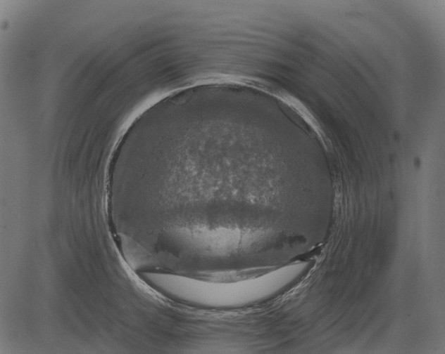 X0000084521143200703091555