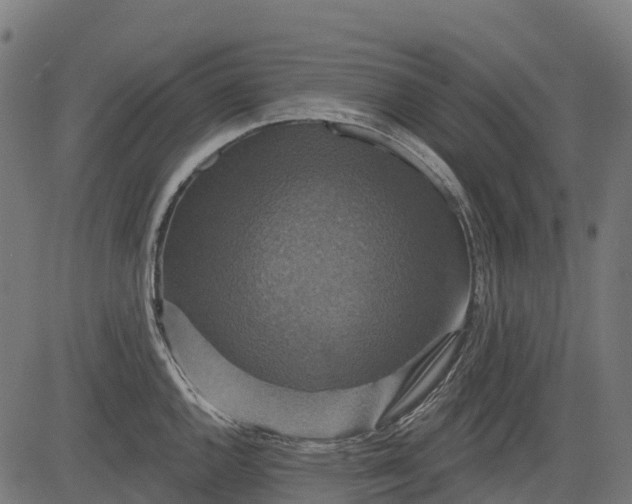 X0000084521144200703091555