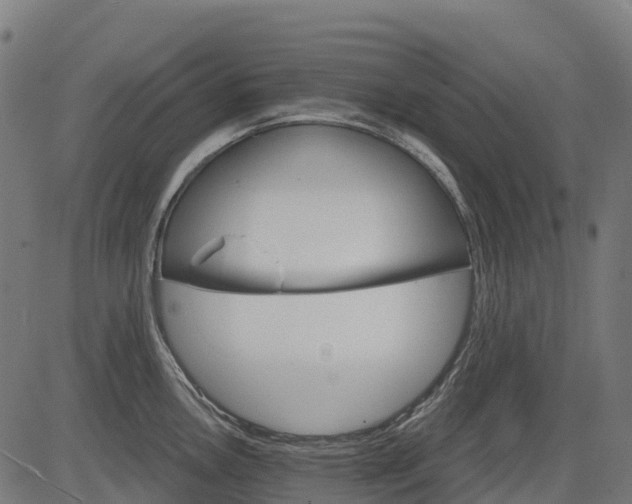 X0000084521146200703091555