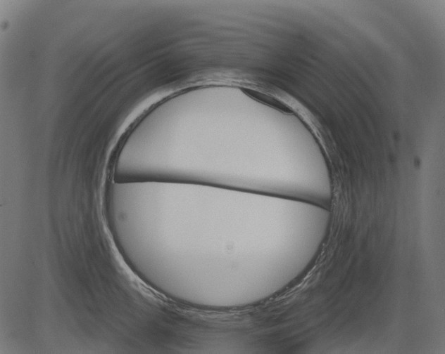 X0000084521147200703091555