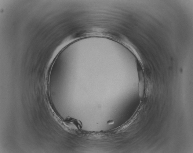 X0000084521148200703091555