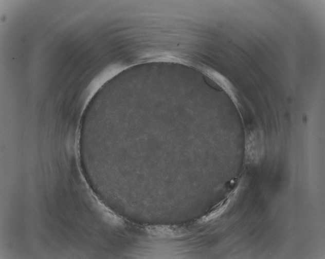 X0000084521149200703091555