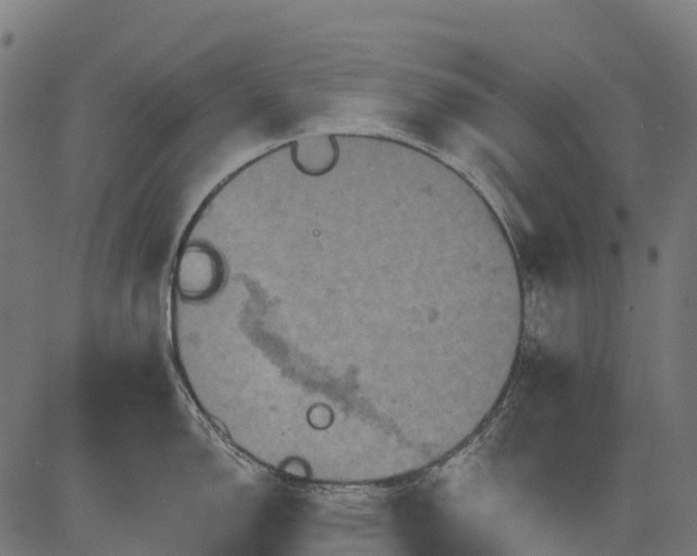 X0000084521150200703091555