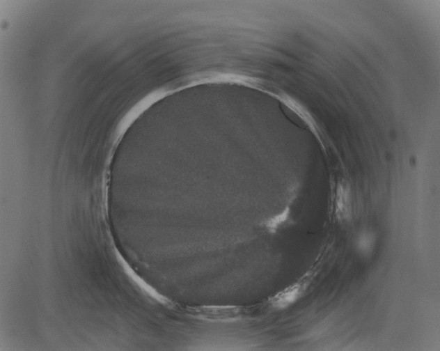 X0000084521151200703091555