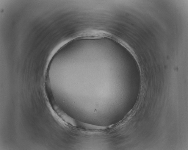 X0000084521152200703091555