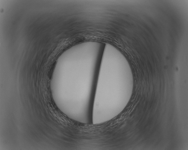 X0000084521153200703091554