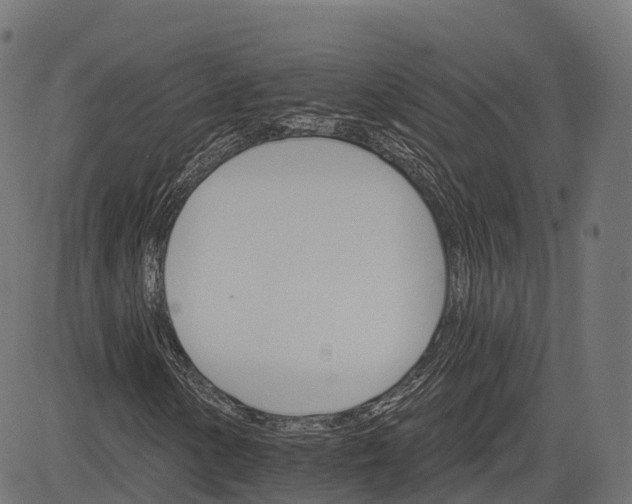 X0000084521154200703091554