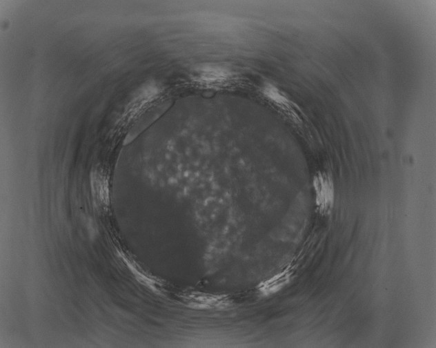 X0000084521155200703091554