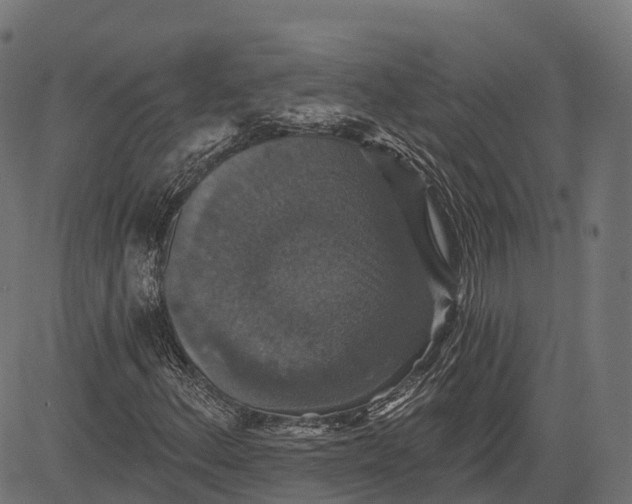 X0000084521156200703091554