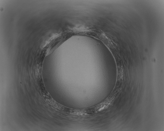 X0000084521157200703091554