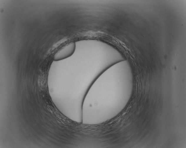 X0000084521158200703091554