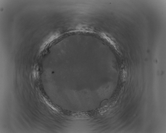 X0000084521159200703091554