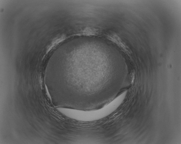 X0000084521160200703091554