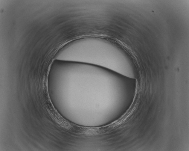 X0000084521161200703091554