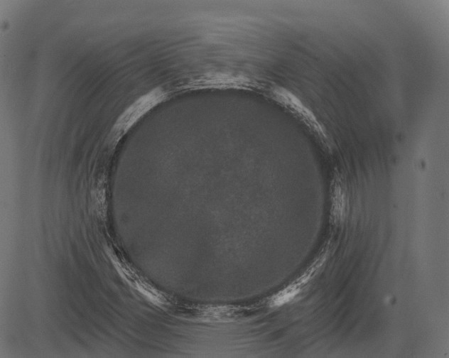 X0000084521162200703091554