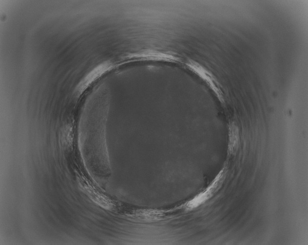 X0000084521163200703091554