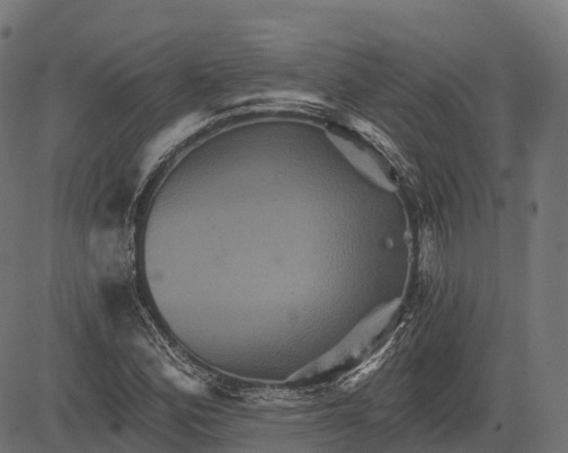 X0000084521164200703091554