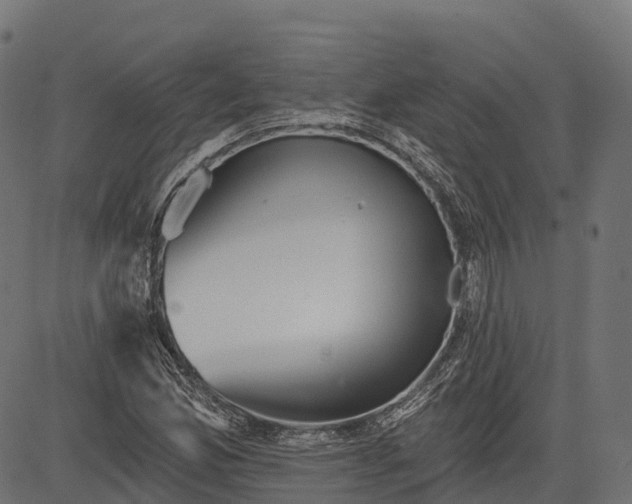 X0000084521165200703091554