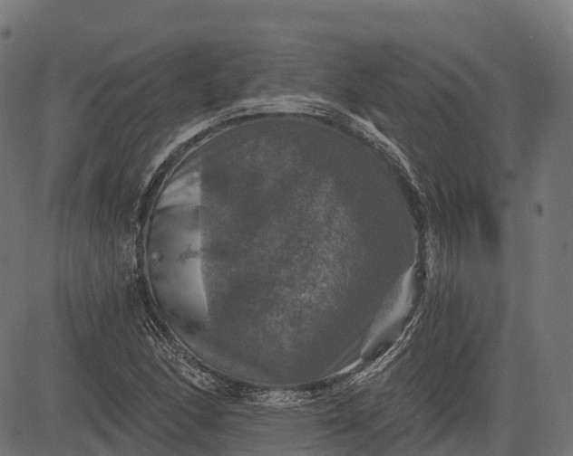 X0000084521166200703091554