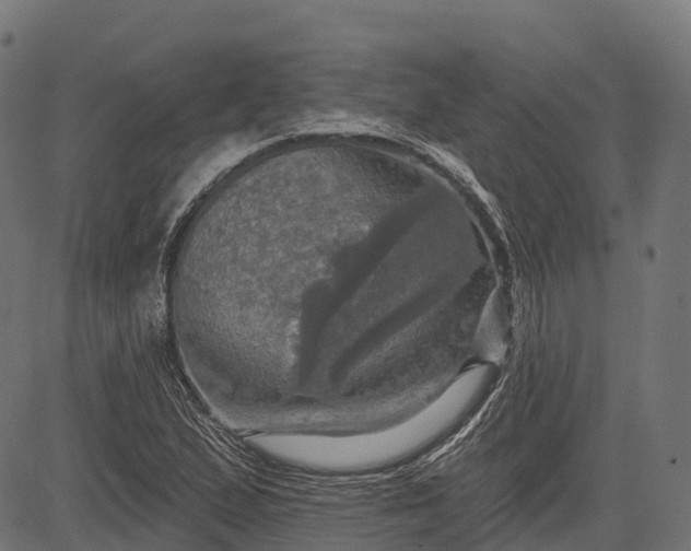 X0000084521167200703091554