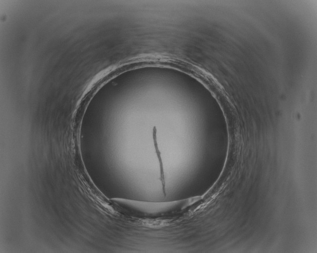 X0000084521168200703091554