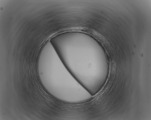 X0000084521169200703091554